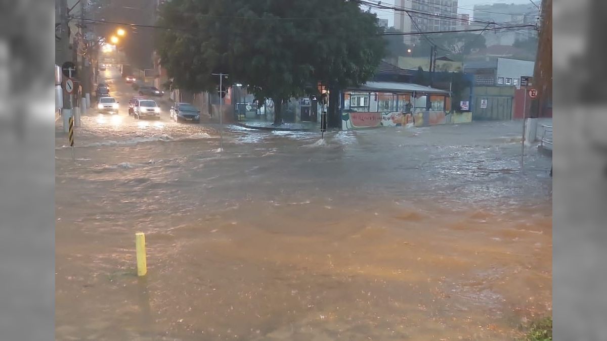 Chuva Em Campinas Causa Alagamentos Quedas De Rvores E Arrasta Mulher