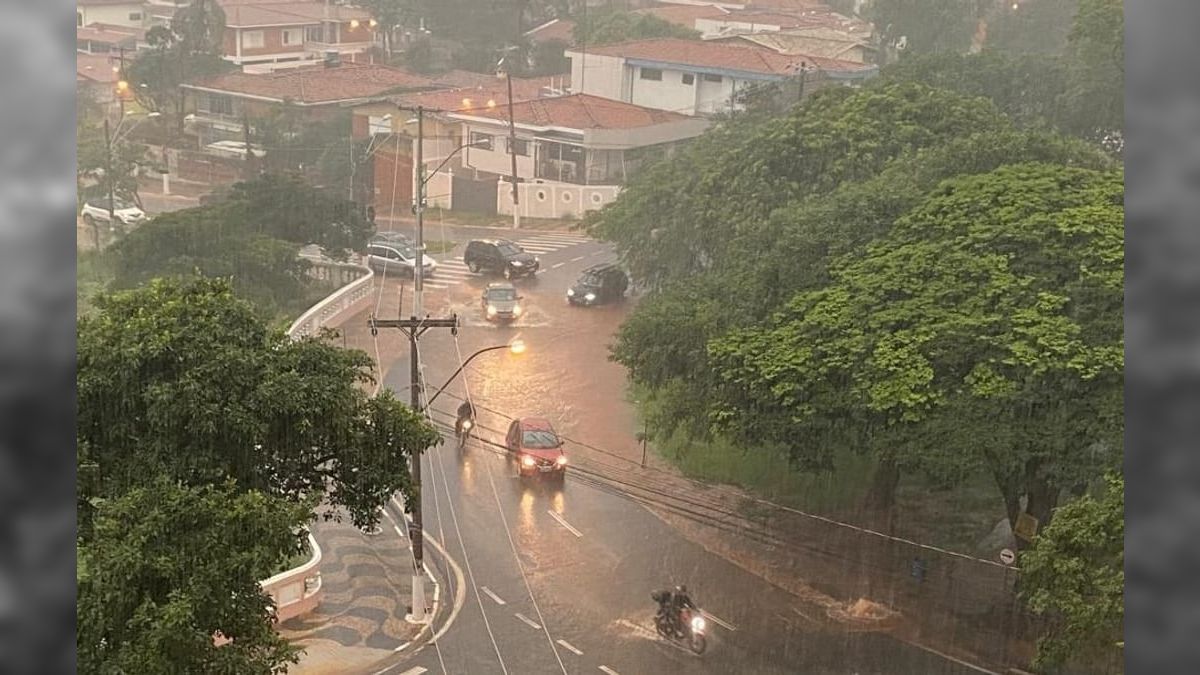 Forte Chuva Em Campinas Afeta Servi Os Municipais E Causa Quedas De Rvores