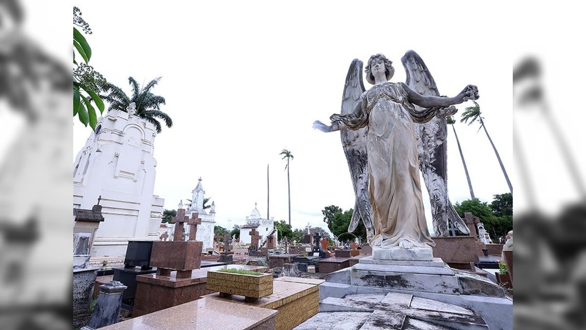 Construção do novo muro do Cemitério da Saudade deve começar em março