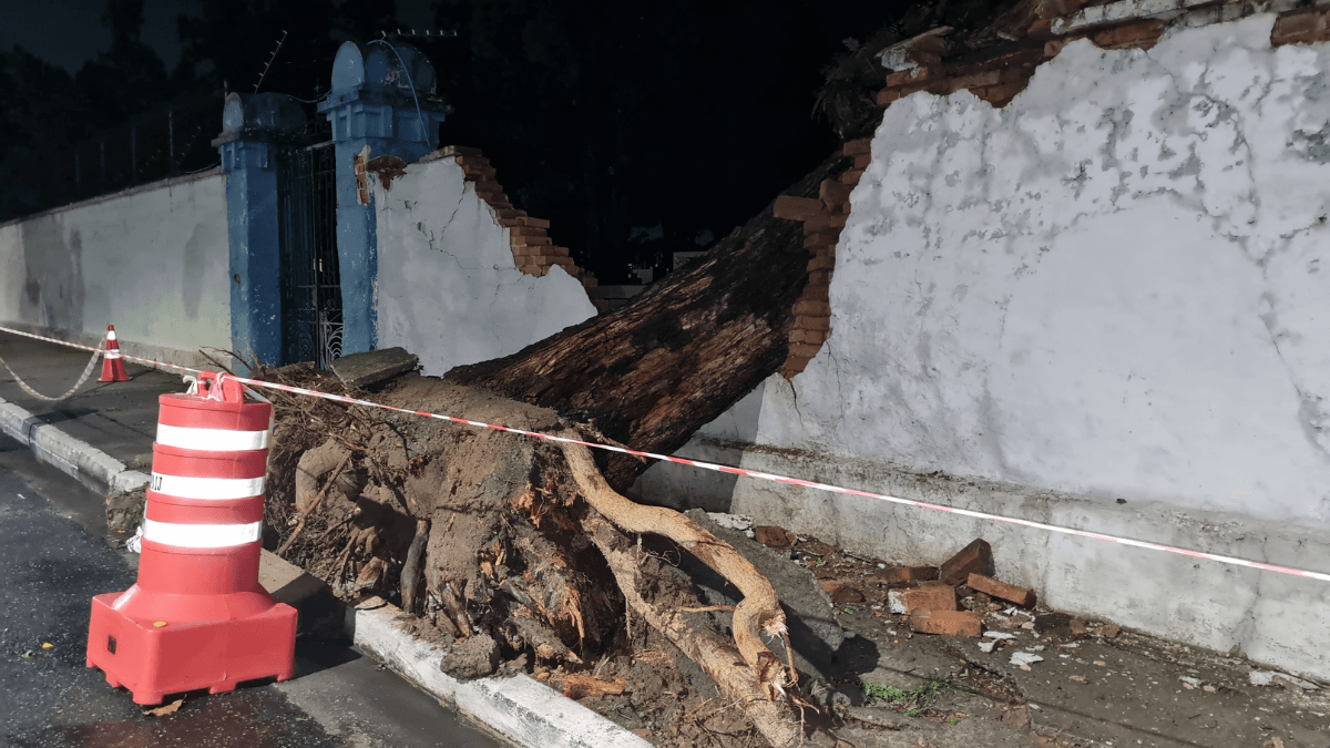 Ap S Tempestade Rvore Cai E Derruba Muro De Cemit Rio Em Jacare Sp