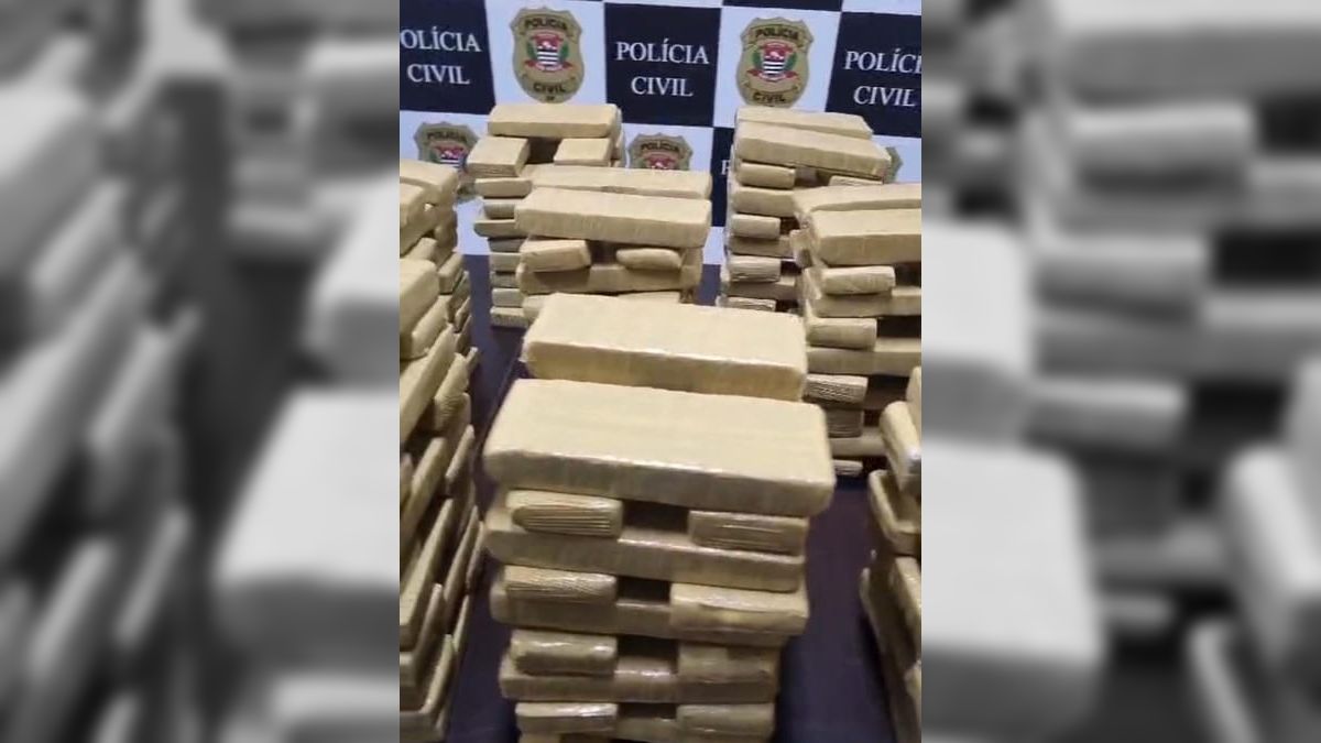 Deic Apreende 300 Tijolos De Maconha Em Sorocaba