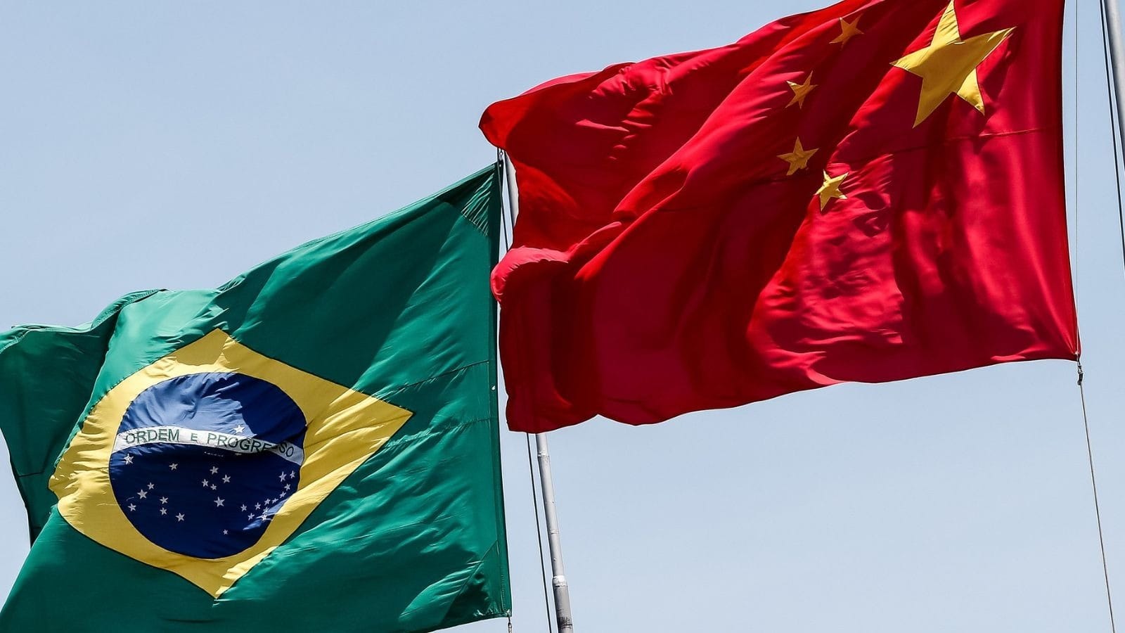 China Tem Empresa Brasileira L Der Na Produ O De Celulose Assista A