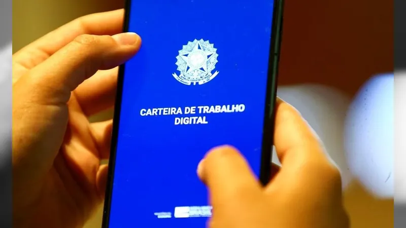 Desemprego cai para 8,1% no trimestre encerrado em novembro