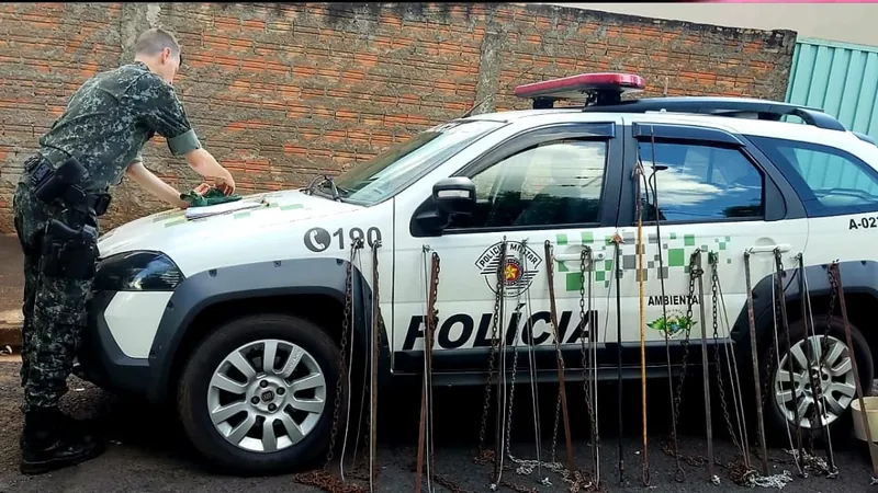 A apreensão foi em uma área de Rancharia