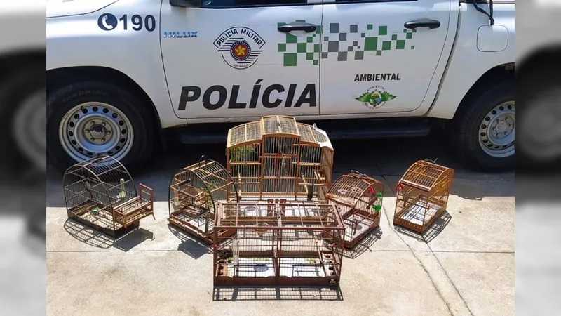 Polícia Ambiental apreende aves utilizadas para caça em Jacareí