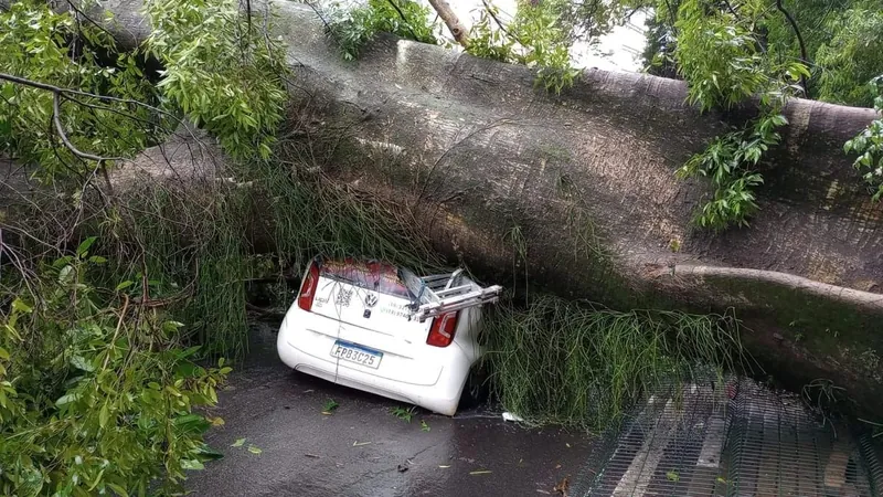 Após quedas de árvores e 2 mortes, Campinas determina fechamento de parques