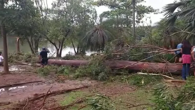 Mulher atingida por uma árvore na Lagoa do Taquaral deve passar por cirurgia