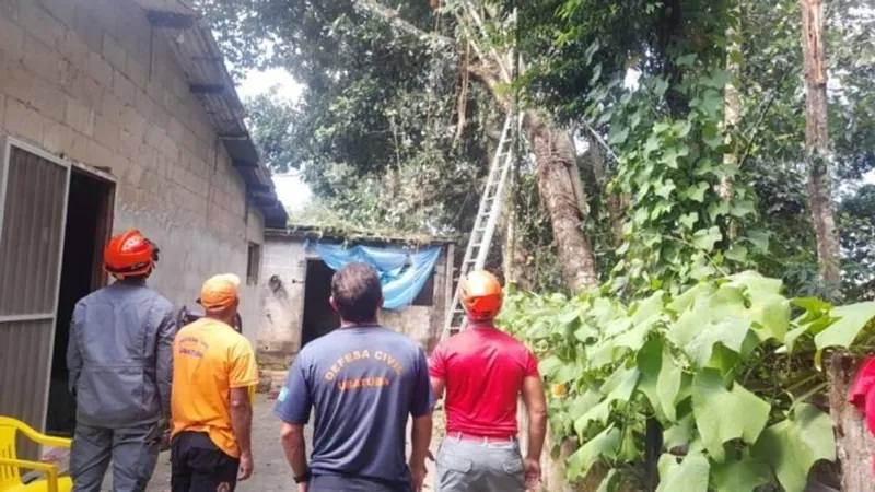 Defesa Civil e Bombeiros efetuam retirada preventiva de árvores em Ubatuba