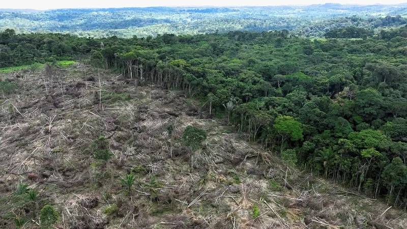 Alemanha anuncia 200 milhões para a Amazônia