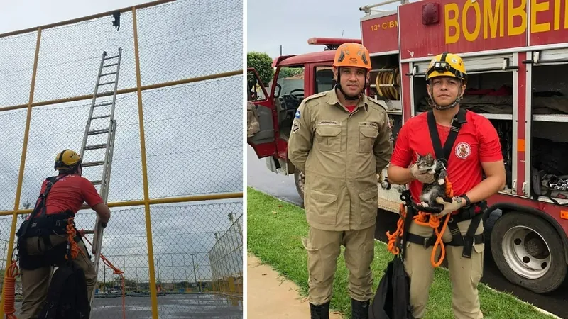 Bombeiros resgatam gatinho preso em tela de quadra de futebol society