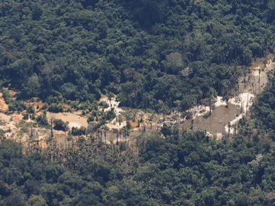 Mulher é encontrada morta em Terra Indígena Yanomami