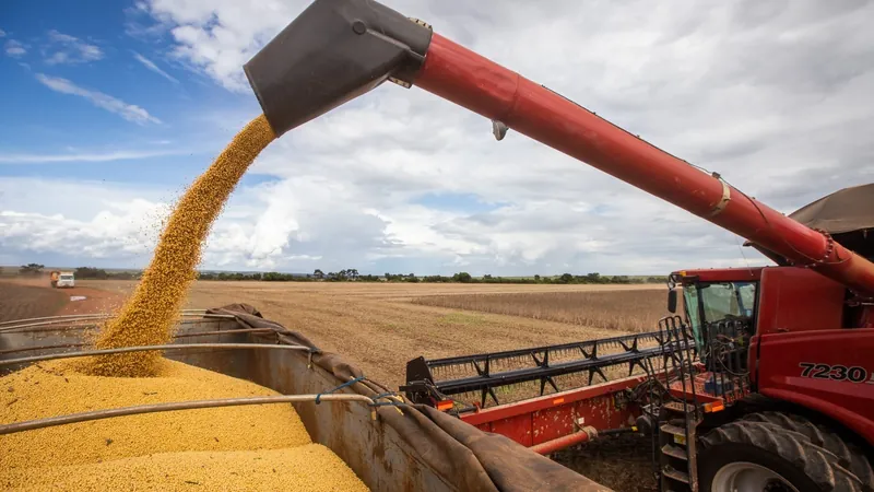 Liberação do crédito rural alcança R$ 222,8 bilhões em sete meses