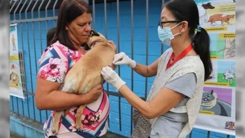 Jacareí terá vacinação antirrábica para cães e gatos no fim de semana