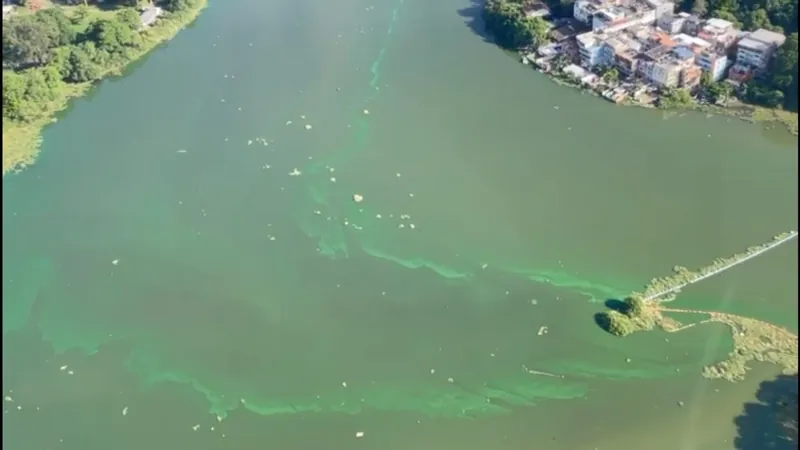 Lagoa da Barra amanhece com mancha verde nesta sexta (10)