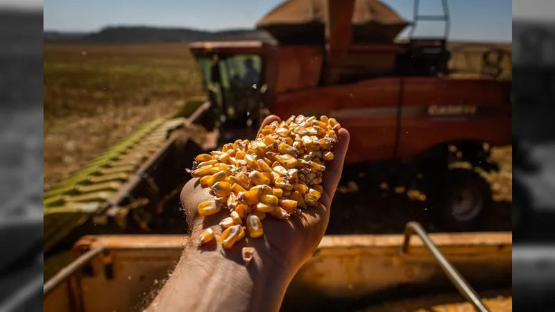 Exportações globais de milho na safra de 2022/2023: Brasil e EUA