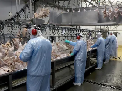 Com aumento na produção, preços de carnes de frango e suíno ficam estáveis em 2025