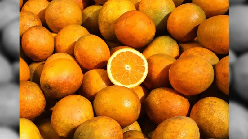 Produção de laranja: veja quantas caixas de laranja o Brasil vai produzir