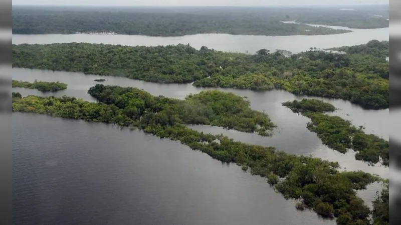 Governo anuncia pacote para combater desmatamento na Amazônia