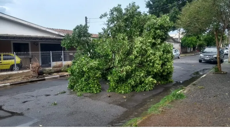 Campinas entra em Estado de Atenção após temporal atingir a região