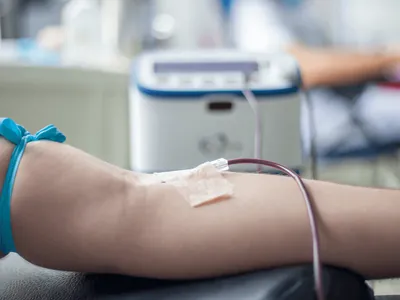TCE realiza campanha para doação de sangue em celebração ao Dia Mundial da Saúde