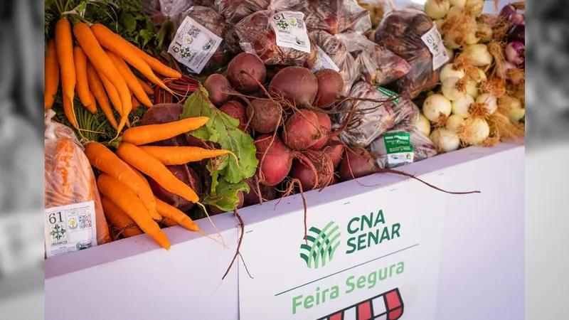 Cebola fica 20% mais barata, mas batata e cenoura sobem