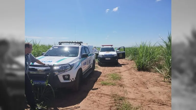 Corpo de homem com 40 marcas de tiro é encontrado em canavial de Piracicaba