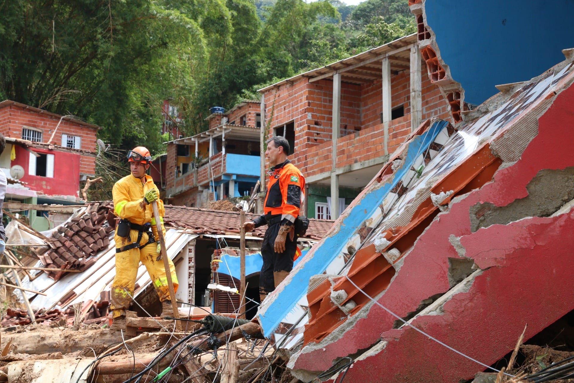 PM resgata capivara no Fórum de Taubaté, Vale do Paraíba e Região