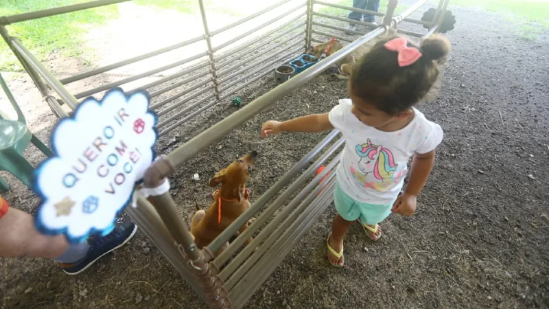 Feira de adoção de pets acontece neste hoje (25) em São José dos Campos