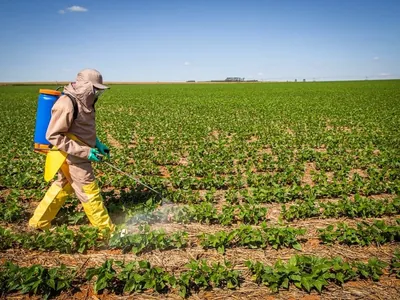 Bancada ruralista pede regulamentação de bioinsumos e a produção 'onfarm'; assista