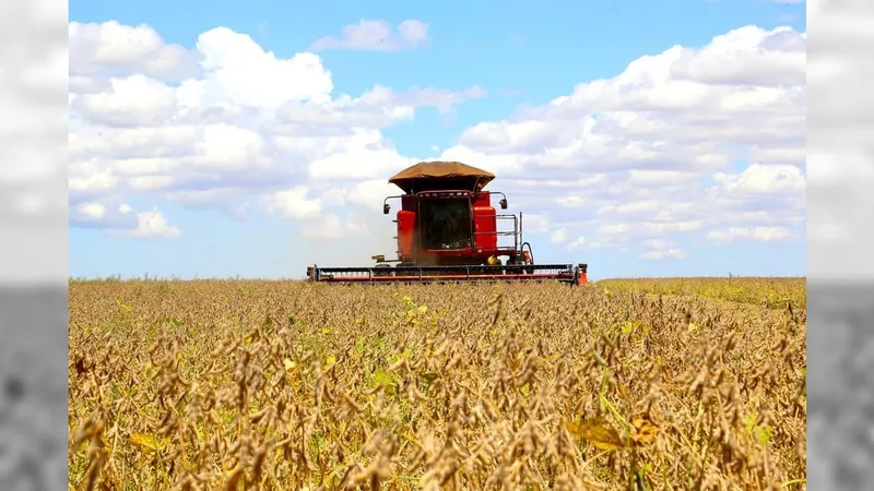 Paraná pode colher 20,8 milhões de toneladas de soja