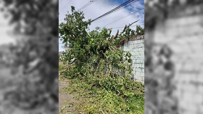 IMAGENS: Confira estrago causado pela chuva e ventos em Taubaté