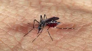 Região do Vale do Paraíba registra mais quatro mortes por dengue em 2024
