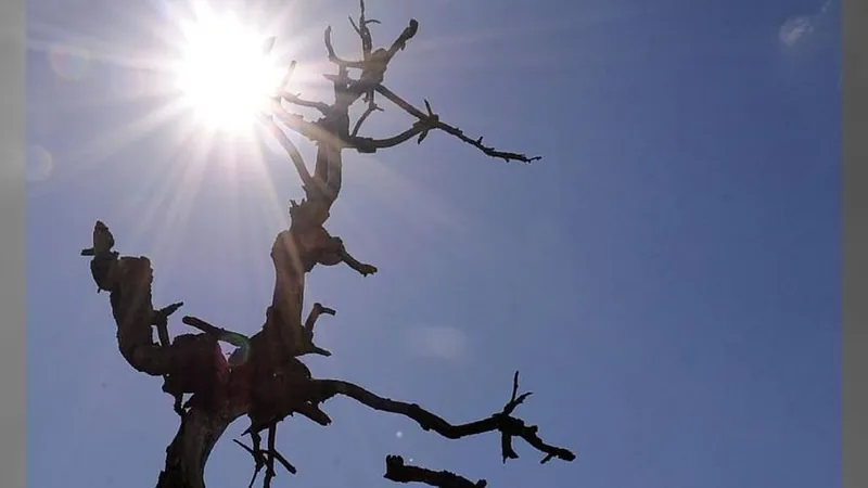 Calor predomina no Brasil e só 3 capitais não ultrapassam os 30°C