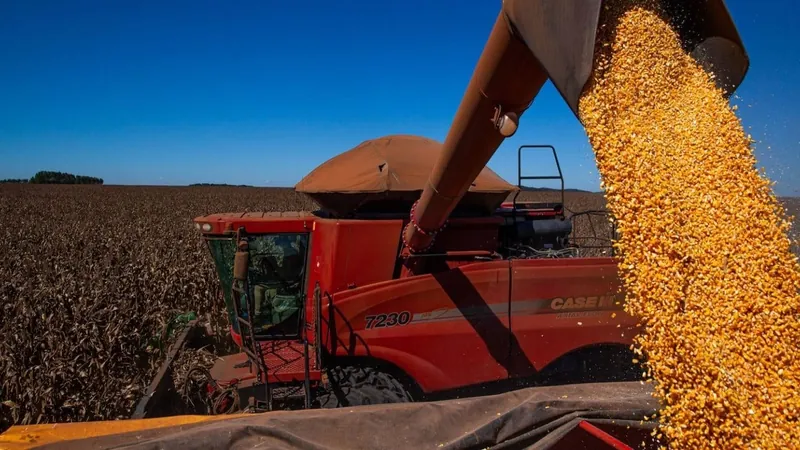 IBGE: produção agrícola deve totalizar 298 milhões de toneladas em 2023