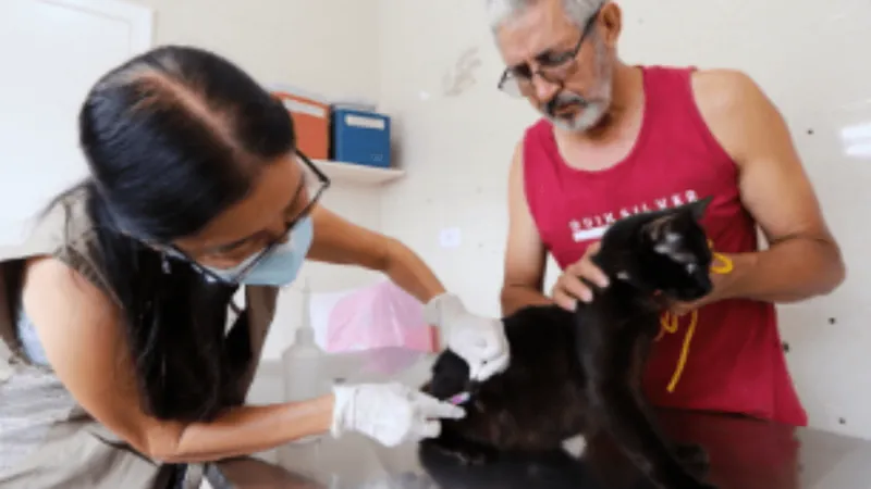 Jacareí aplica vacina antirrábica em cães e gatos neste domingo (12)