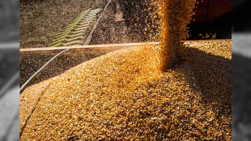 Produção de etanol a partir o processamento de milho aumenta 