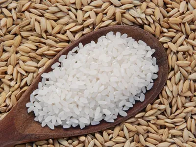 Governo autoriza importação de 1 milhão de toneladas de arroz