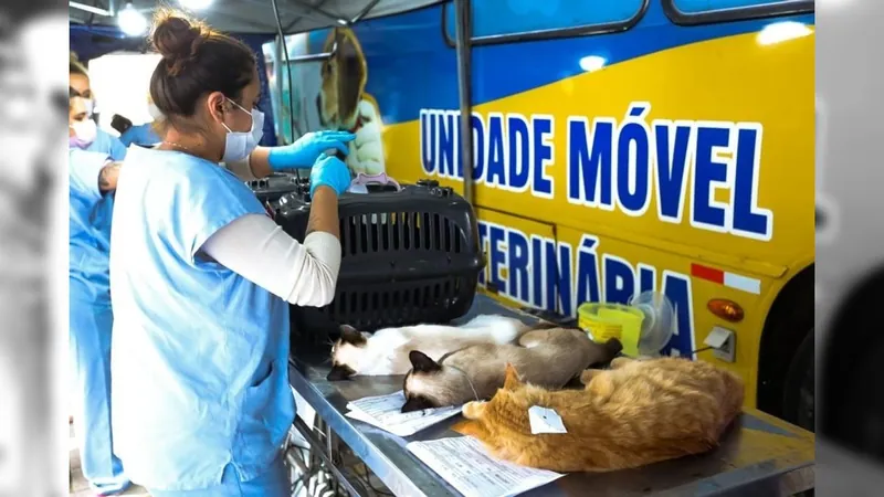 Inscrições para o Castramóvel em São Francisco Xavier começa quinta-feira