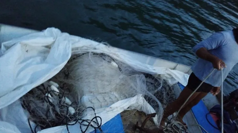 Polícia Ambiental Marítima flagra pesca irregular em praia de Ubatuba