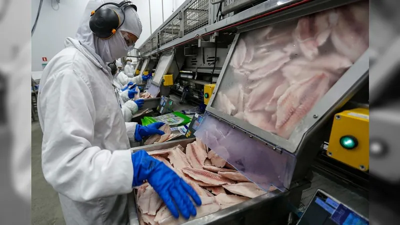 Paraná lidera produção e exportação de carne de peixe