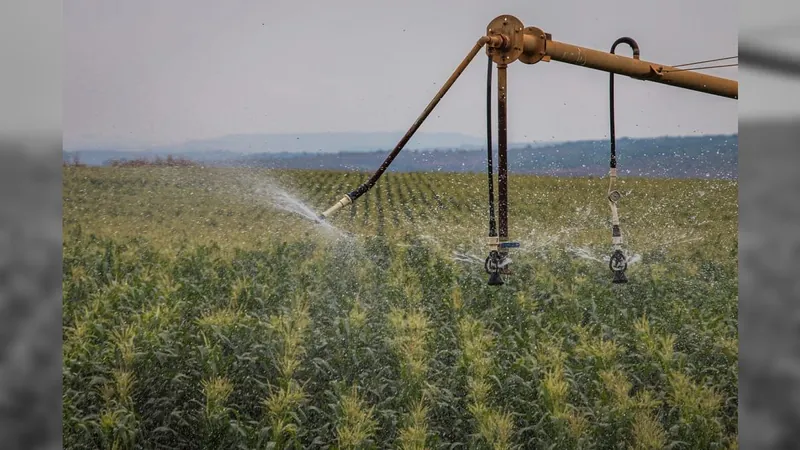 Chance de El Niño forte é de 56%, diz agência dos Estados Unidos