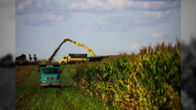 VPB do agro para 2023 é projetado em R$ 1,2 trilhão