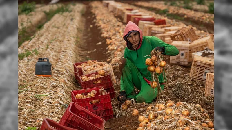 População ocupada no agro é a maior desde 2015