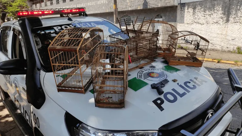 PM Ambiental apreende aves, munições e simulacro de arma em Guaratinguetá