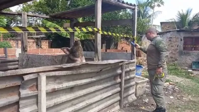 Local onde homem era mantido em situação análoga à escravidão é interditado