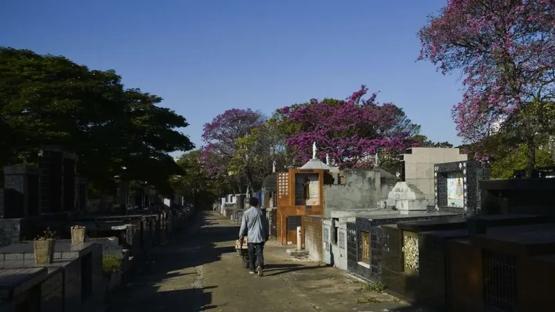 Irregularidades na concessão do serviço funerário serão alvo do TCMSP