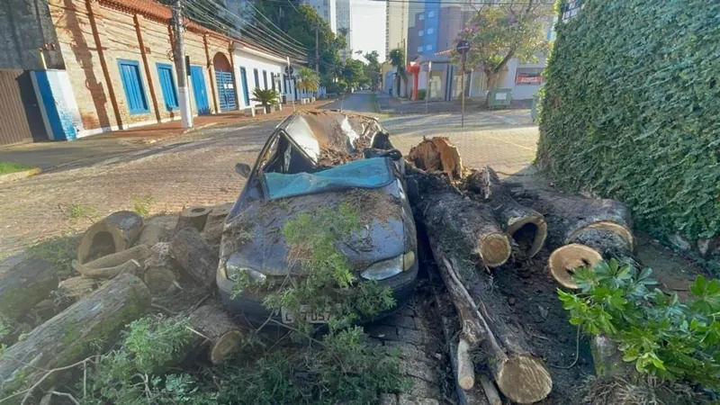 Chuvas e fortes ventos derrubam árvore em carro estacionado, em Indaiatuba