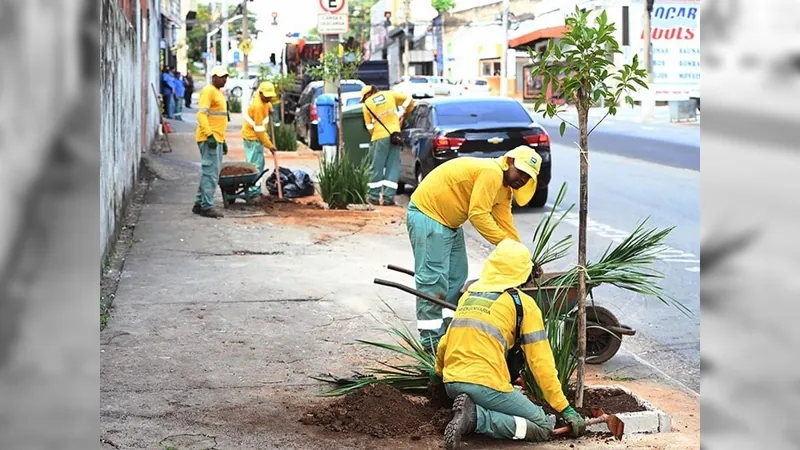 Campinas inicia plantio de 100 mudas de árvores na região central