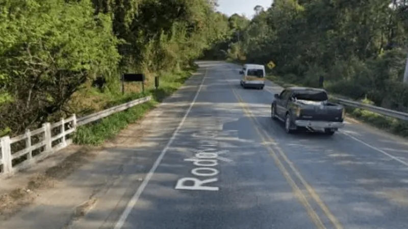 Tribunal de Justiça mantém medidas para proteção da fauna na Rodovia SP-125