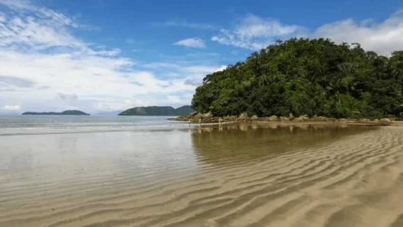 Bombeiros retomam buscas por turista que desapareceu após se afogar em Ubatuba